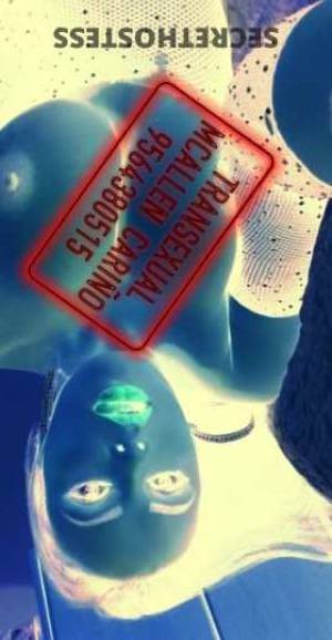 25 year old Escort in McAllen TX Brunette Bombshell Ready to Please