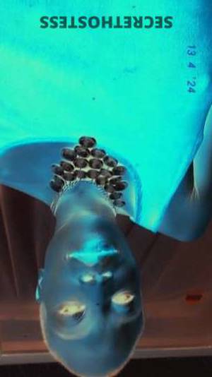 32 year old Escort in San Antonio TX Wildride Wanted? I'm Your Pregnant, Naughty Party Girl 