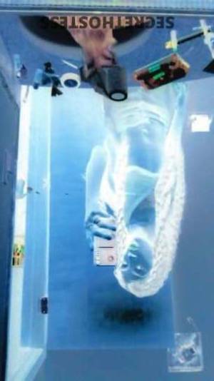 23 year old Escort in Pensacola FL Add Excitement and Color to Your Bedroom with Me The 