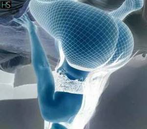 23 year old Mexican Escort in Birmingham Independent Escort in Birmingham Spicy Mexican Beauty for 