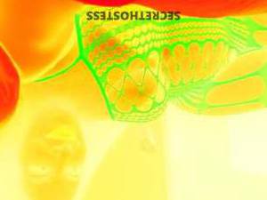 Kelseylee 30Yrs Old Escort Kansas City MO Image - 5