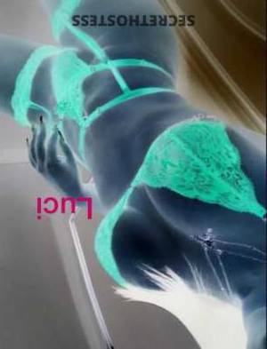 26 year old Latino Escort in Chicago IL Hey there, adventurous soul! Hot Latina in town, eager to 
