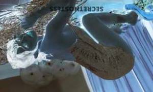 23 year old Japanese Escort in Austin TX Independent and 100% real, I'mJapanese 69 expert and I 