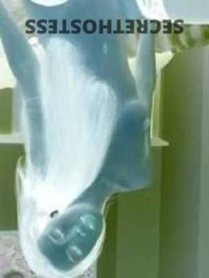 23 year old Escort in Macgregor Brisbane Unforgettable Encounter with a Stunning Young Hottie Susanna