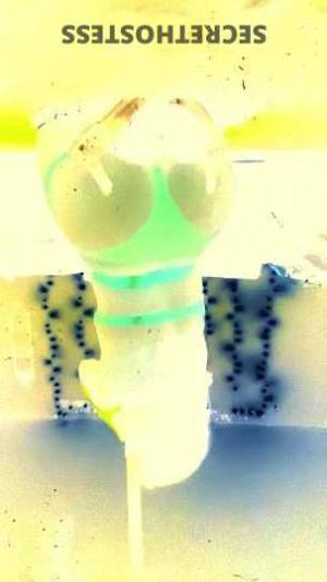 24 year old Escort in Tulsa OK Sexy and Petite Babe with a Dripping Wet Pussy Ready for 