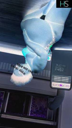 23Yrs Old Escort 149CM Tall Hamilton Image - 1