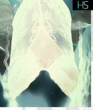 26Yrs Old Escort 160CM Tall Winnipeg Image - 5