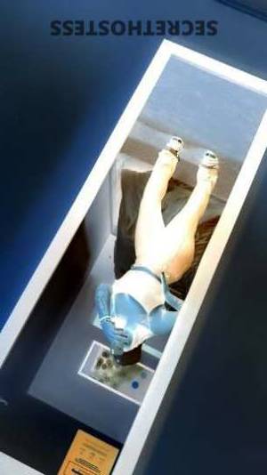 26 year old Escort in San Jose CA The Ultimate Playmate Stunning, Sensual, and Down-to-Earth