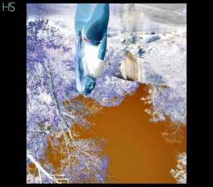 Experience Authentic Tantra Massage and Fulfill Your  in Goias