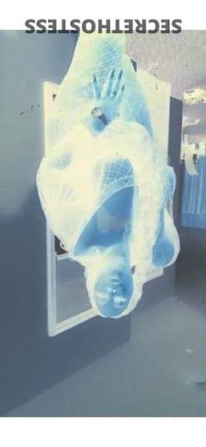 AmberCoxx_ 25Yrs Old Escort Virginia Beach VA Image - 7