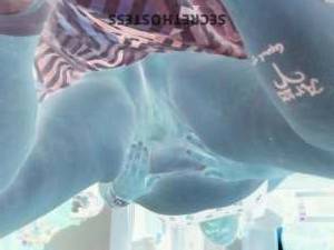 33 year old Escort in Canton OH Cheap escort with Escort Alligator specials