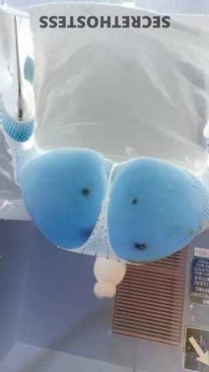 26 year old Escort in Wilmington NC Independent Creator for Custom Content and Private Calls