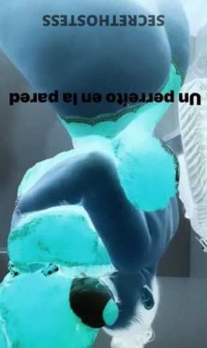 Erika 23Yrs Old Escort Omaha NE Image - 3