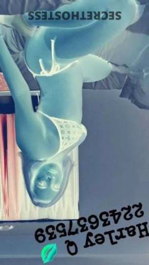 23 year old Escort in Chicago IL The Ultimate Flirty Playmate Harley, Your Blonde Amish 