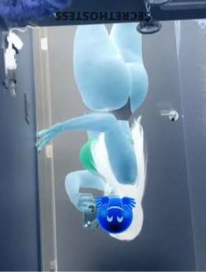 23 year old Latino Escort in Wilmington DE New to the city and ready to play - a delicious latina with 