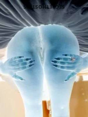 36 year old Escort in Louisville KY Hi everyone! I'm a delicious 6'1" package 