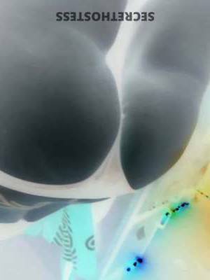 54 year old Escort in Tampa FL Experienced, Safe, and Discreet! Choose Between In-Person 