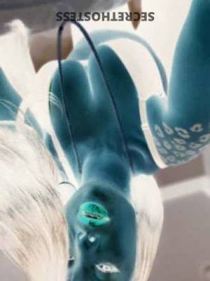 LondonR 25Yrs Old Escort San Buenaventura CA Image - 9