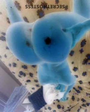 22 year old Escort in Los Angeles CA Get Your Groove Back! The Real Deal for Your Pleasure, 
