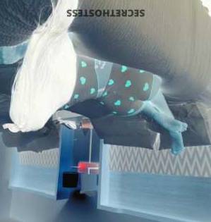 Paola 24Yrs Old Escort Chicago IL Image - 2
