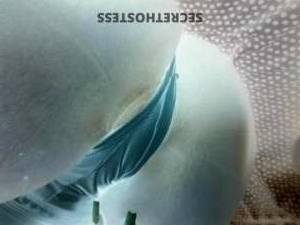 Princess 27Yrs Old Escort Milwaukee WI Image - 2