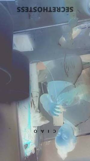 30 year old Dominican Escort in Columbia SC New Dominican hottie in town! Let's link up and have 