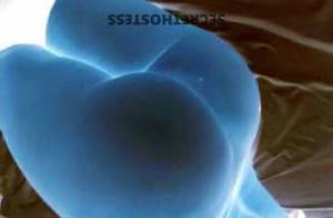 Selua 28Yrs Old Escort Fort Lauderdale FL Image - 1