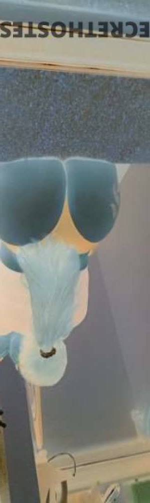 Talia 22Yrs Old Escort Galveston TX Image - 5