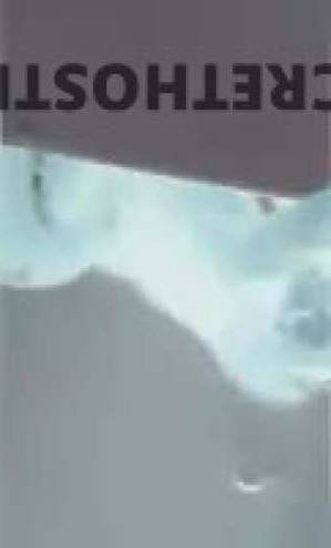 Tootsie 25Yrs Old Escort Savannah GA Image - 5