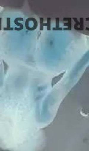 Tootsie 25Yrs Old Escort Savannah GA Image - 7