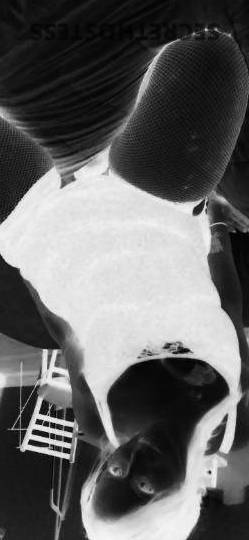 Faith 36Yrs Old Escort Cincinnati OH Image - 0