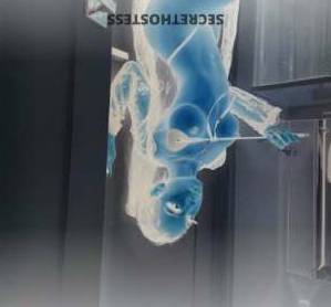 24 year old Russian Escort in Indianapolis IN I'm the King of Sexual Satisfaction!Let Me Satisfy Your