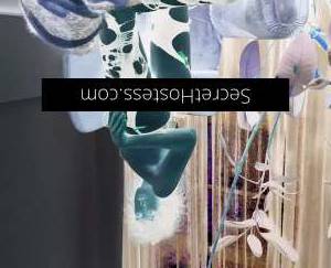 26 year old Escort in Brisbane TS Amber