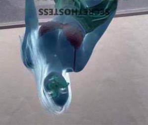 28 year old Escort in Melbourne The Ultimate Naughty Experience with a Busty Beauty -Let Me 