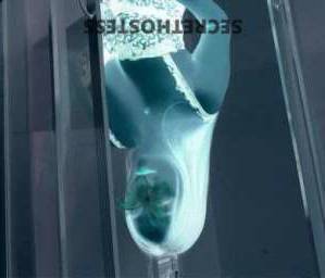 28 year old Korean Escort in Melbourne Erotic Services Provided by a Korean-born Sensuality