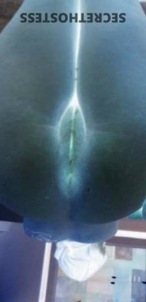 Allison 28Yrs Old Escort Raleigh NC Image - 2