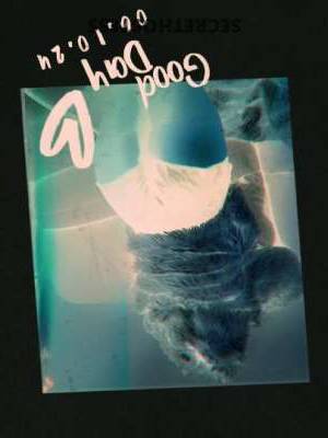 Ebony 24Yrs Old Escort Manhattan NY Image - 6