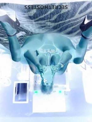 49 year old Escort in San Fernando Valley CA Naughty Independent Playmate Kelleyleigh VIP Treatment Your 