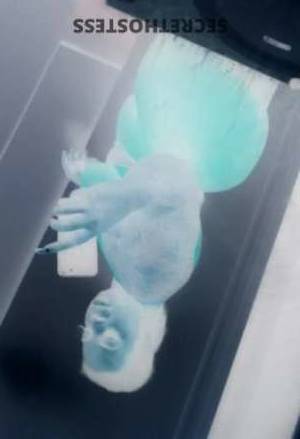 Khloe 31Yrs Old Escort Saint Louis MO Image - 4
