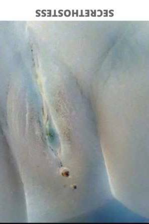 PrettyChocolate 26Yrs Old Escort Cincinnati OH Image - 1