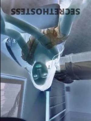 21 year old Escort in Narre Warren Melbourne Ready to Please Big Busty D Cup Sarah Drains You Dry