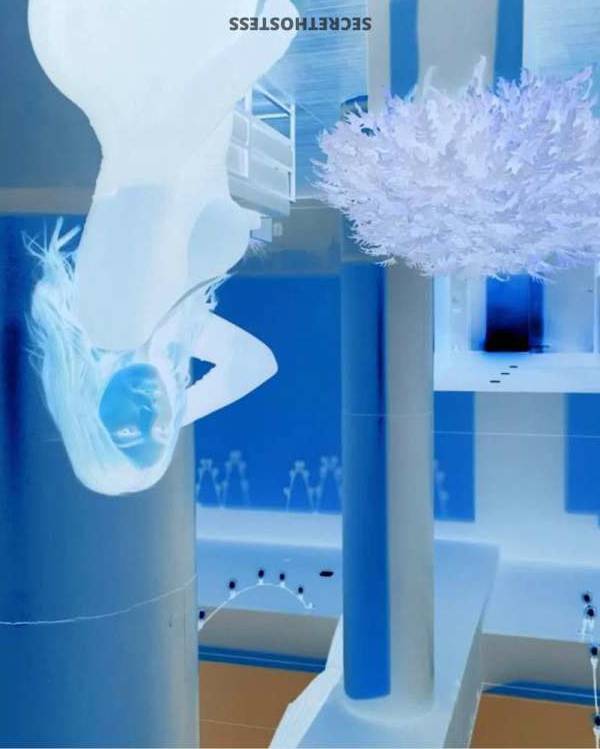 Wendy Escort Fort Worth TX Image - 4