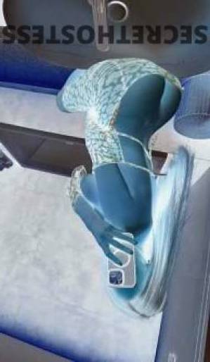 21 year old Asian Escort in Adelaide Satisfy Your Desires and Fantasies with Oriental Cross 