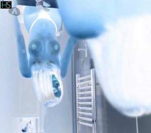 22 year old Latino Escort in Rochester Kent Wild and Sexy Playmate Iris Hot Independent Escort for Your 