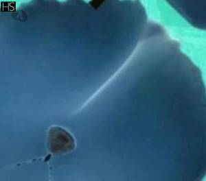 25 year old Latino Escort in Dublin Experience Ultimate Relaxation with Belvida and Nora The 