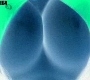 25 year old Latino Escort in Monoghan North West other persons welcome! Break away from your routine and 