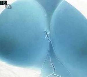 25 year old Latino Escort in Wexford South East Belida Sensual Massage with a Juicy Finish Awaits