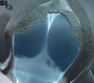 26 year old Escort in Dublin Experience Pleasure, Excitement, and Stimulation with My 