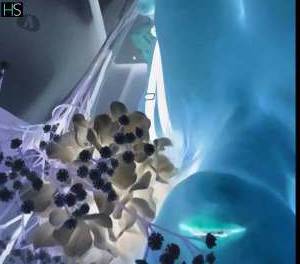 27Yrs Old Escort Shannon Image - 2