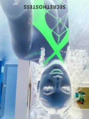 30 year old Escort in Sacramento CA ROUSS Fun and Flirty Young Lady Seeking Mature Company for 
